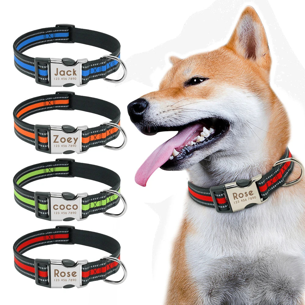 Nylon Dog Collar with Personalized Reflective ID Tag and Nameplate