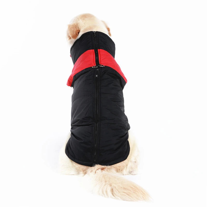 Warm Winter Dog Coat With Warm Vest Jacket - All Sizes