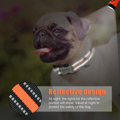 Nylon Dog Collar with Personalized Reflective ID Tag and Nameplate