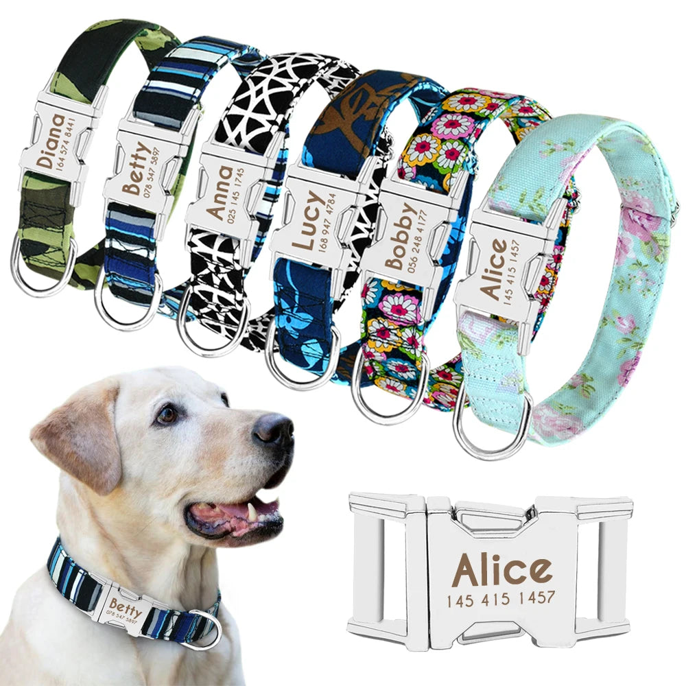 Nylon Dog Collar with Personalized Reflective ID Tag and Nameplate