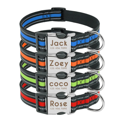 Nylon Dog Collar with Personalized Reflective ID Tag and Nameplate