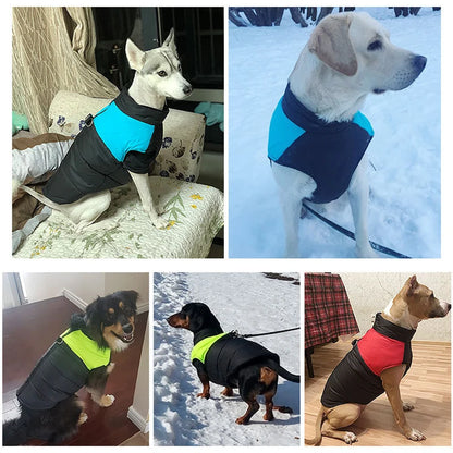 Warm Winter Dog Coat With Warm Vest Jacket - All Sizes