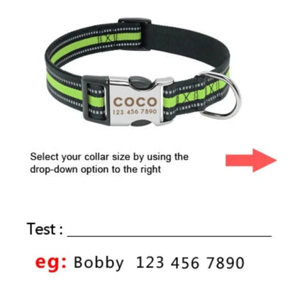 Nylon Dog Collar with Personalized Reflective ID Tag and Nameplate