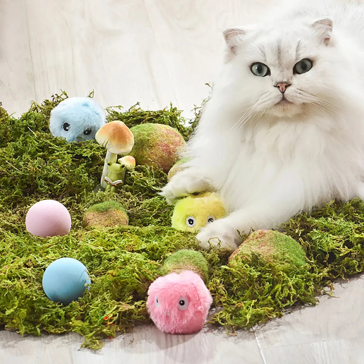 Catnip Training Ball Provides Interactive Squeaky Toy for Curious Cats What The Fur