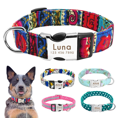 Nylon Dog Collar with Personalized Reflective ID Tag and Nameplate