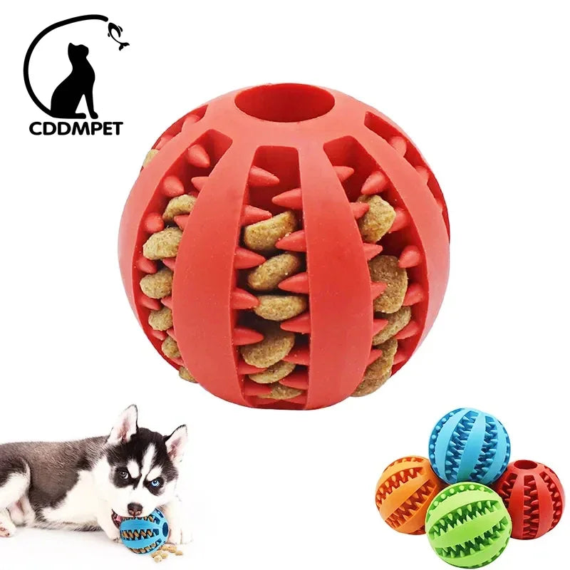 Interactive Dog Chew Ball Toy Durable Rubber Toy for Small Dogs