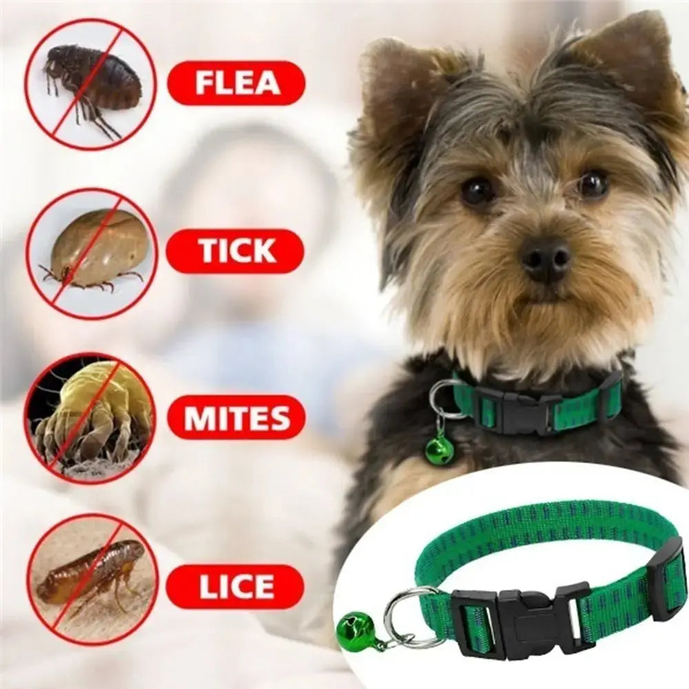 Insecticidal Dog Collar Provides Anti Flea and Tick Repellent Protection What The Fur