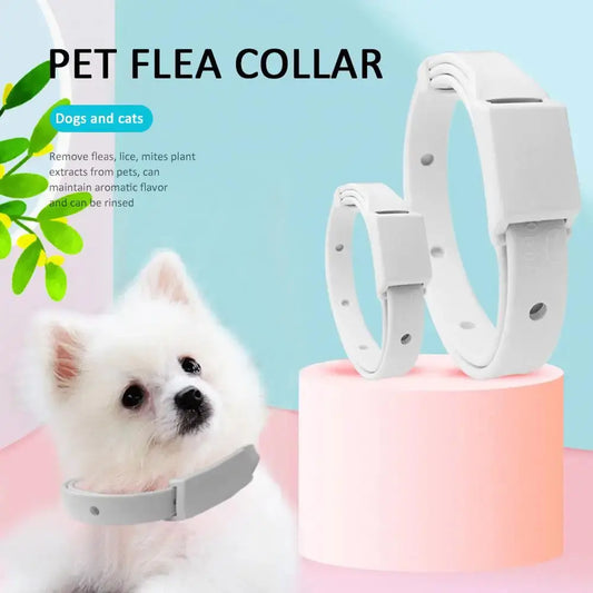 Breakaway Flea Collar for Cats with Long Lasting 8 Month Protection What The Fur