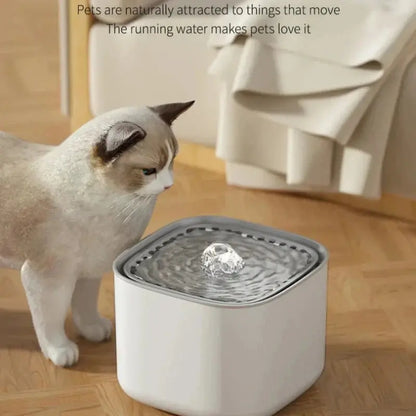 Automatic Cat Water Fountain USB Powered Dispenser for Pets 3L What The Fur