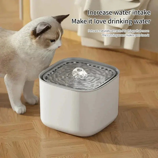 Automatic Cat Water Fountain USB Powered Dispenser for Pets 3L What The Fur