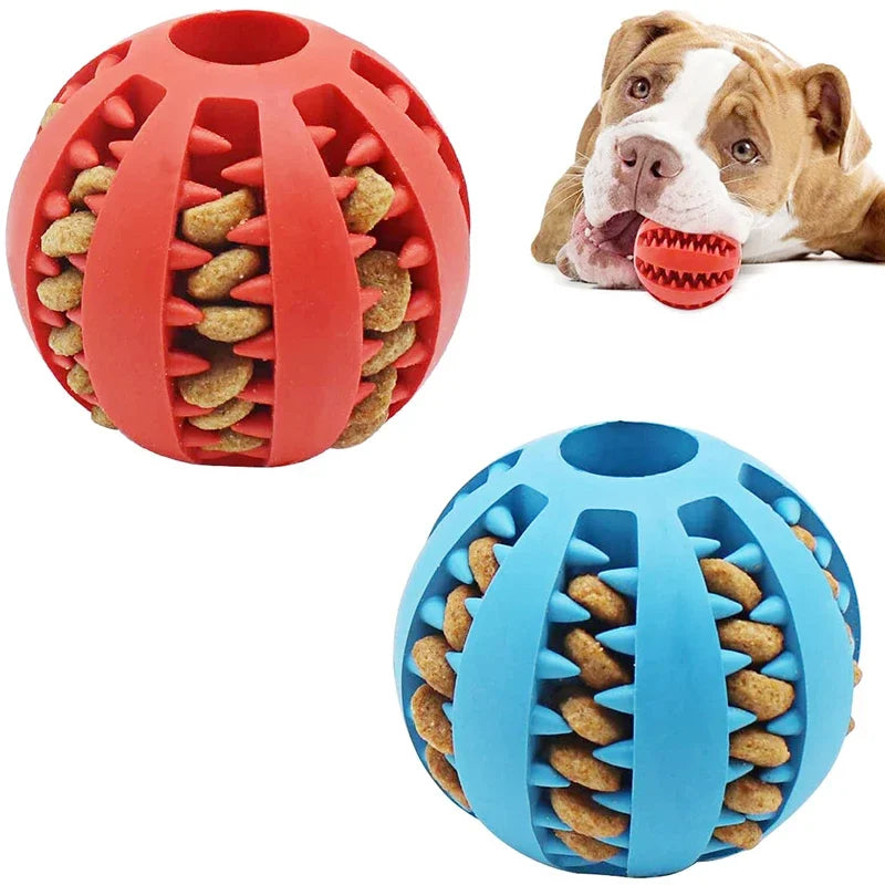 Interactive Dog Chew Ball Toy Durable Rubber Toy for Small Dogs