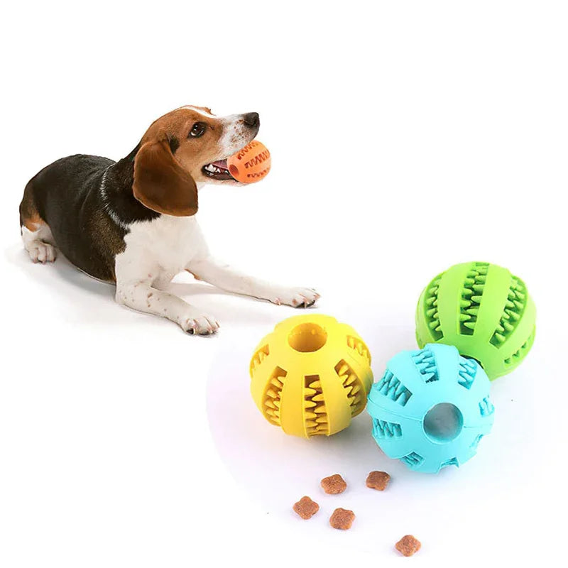 Interactive Dog Chew Ball Toy Durable Rubber Toy for Small Dogs