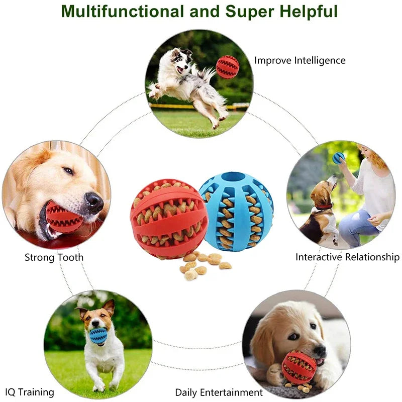 Interactive Dog Chew Ball Toy Durable Rubber Toy for Small Dogs