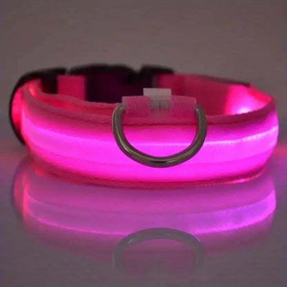 Reflective Nylon Collar Light Up Adjustable Dog Leash Night Safety