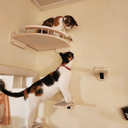 Wall Mounted Cat Shelf Features Step Stairs with Scratching Post Included