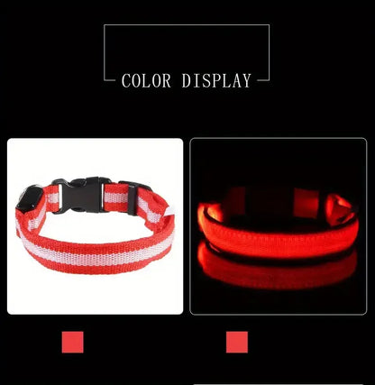 Reflective Nylon Collar Light Up Adjustable Dog Leash Night Safety