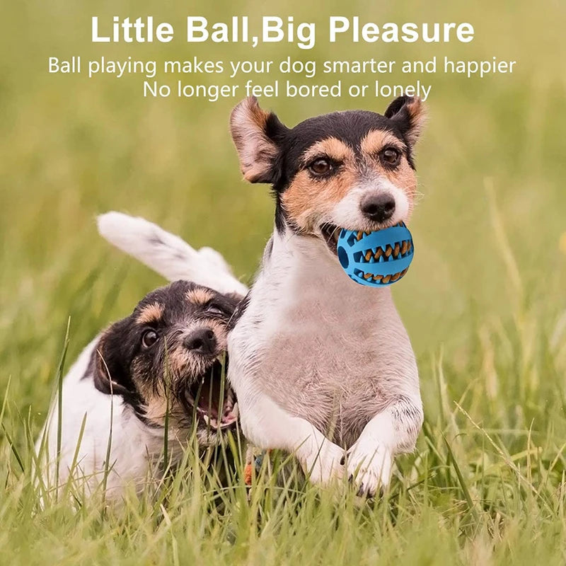 Interactive Dog Chew Ball Toy Durable Rubber Toy for Small Dogs