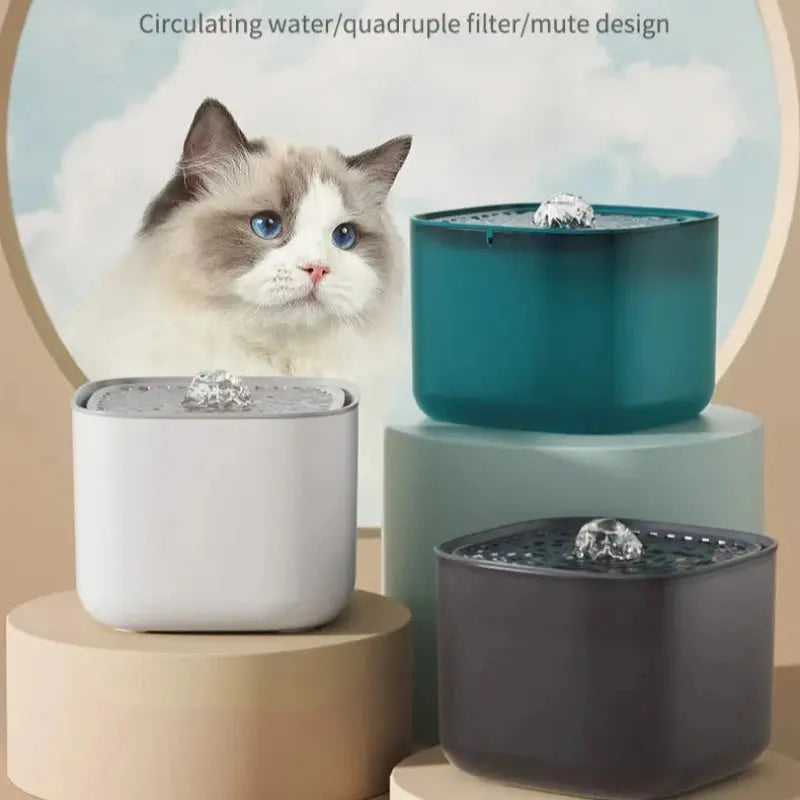 Automatic Cat Water Fountain USB Powered Dispenser for Pets 3L What The Fur