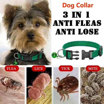 Insecticidal Dog Collar Provides Anti Flea and Tick Repellent Protection What The Fur