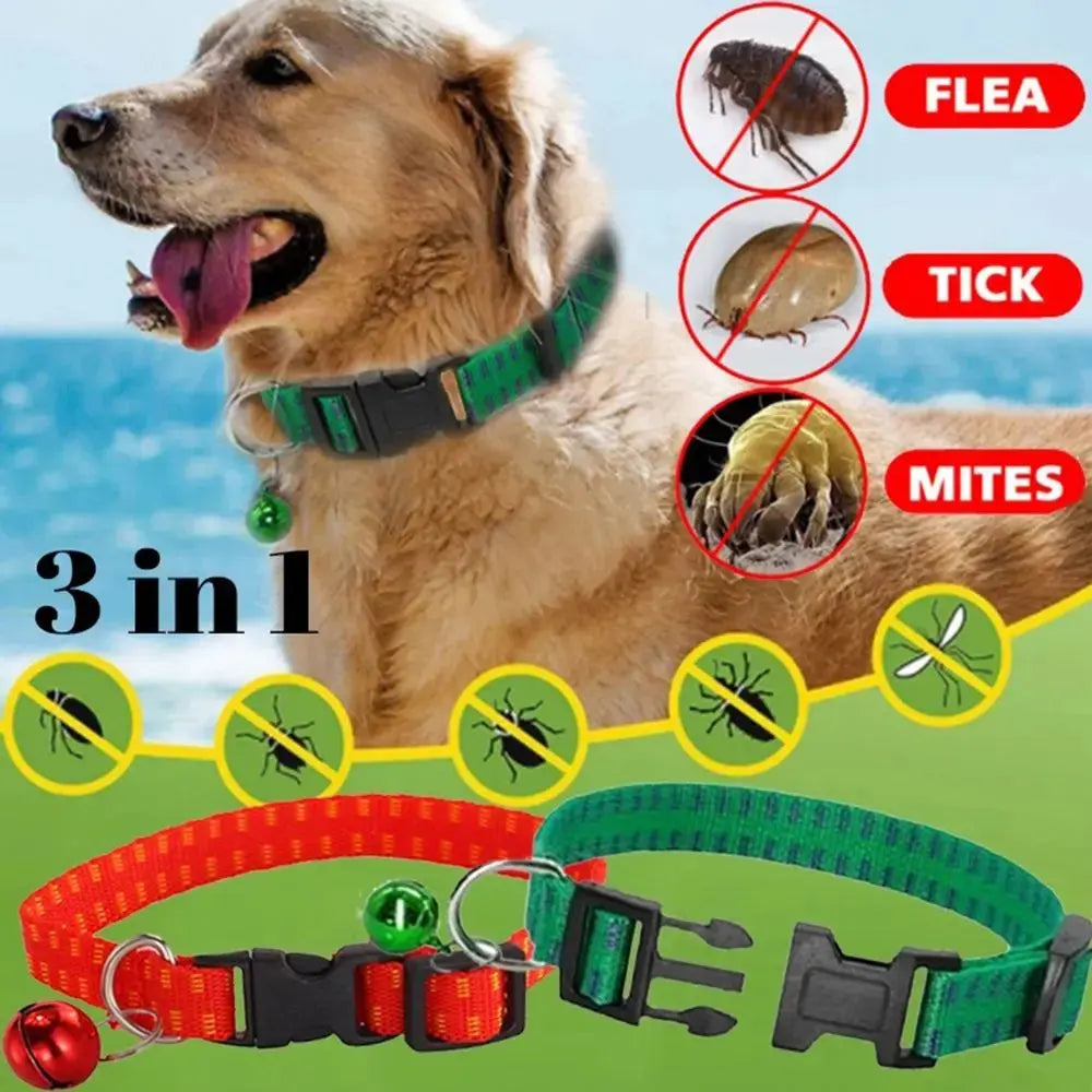 Insecticidal Dog Collar Provides Anti Flea and Tick Repellent Protection What The Fur