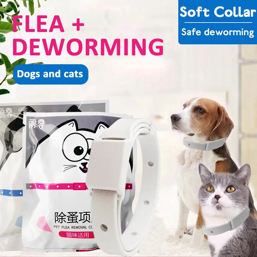 Breakaway Flea Collar for Cats with Long Lasting 8 Month Protection What The Fur