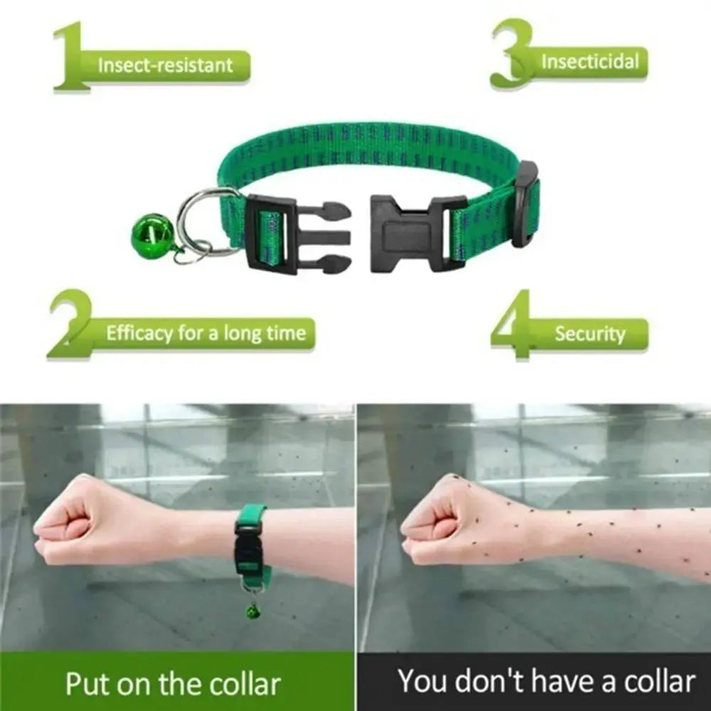 Insecticidal Dog Collar Provides Anti Flea and Tick Repellent Protection What The Fur